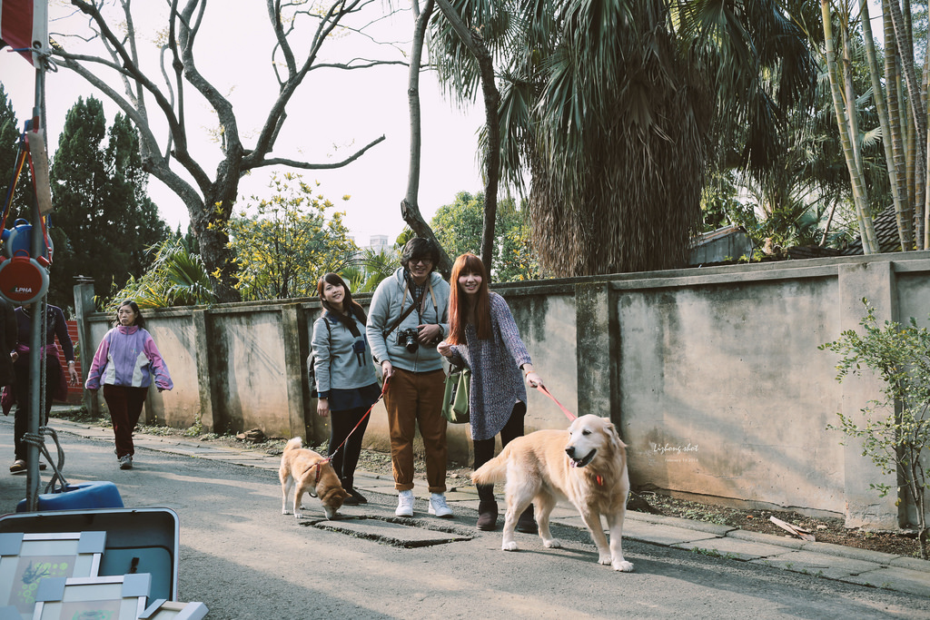 小狗的眷村巡禮（馬祖新村）