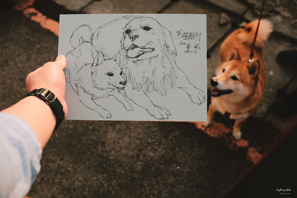 小狗的眷村巡禮（馬祖新村）