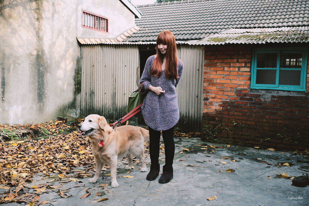 小狗的眷村巡禮（馬祖新村）