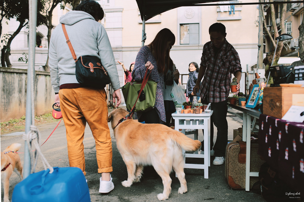 小狗的眷村巡禮（馬祖新村）