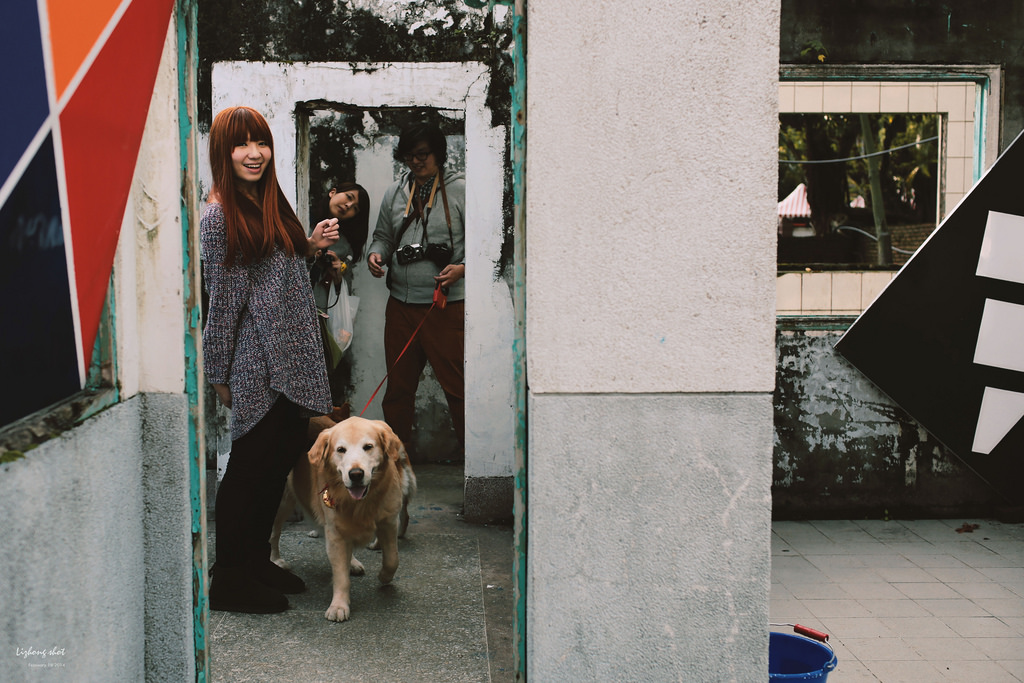 小狗的眷村巡禮（馬祖新村）