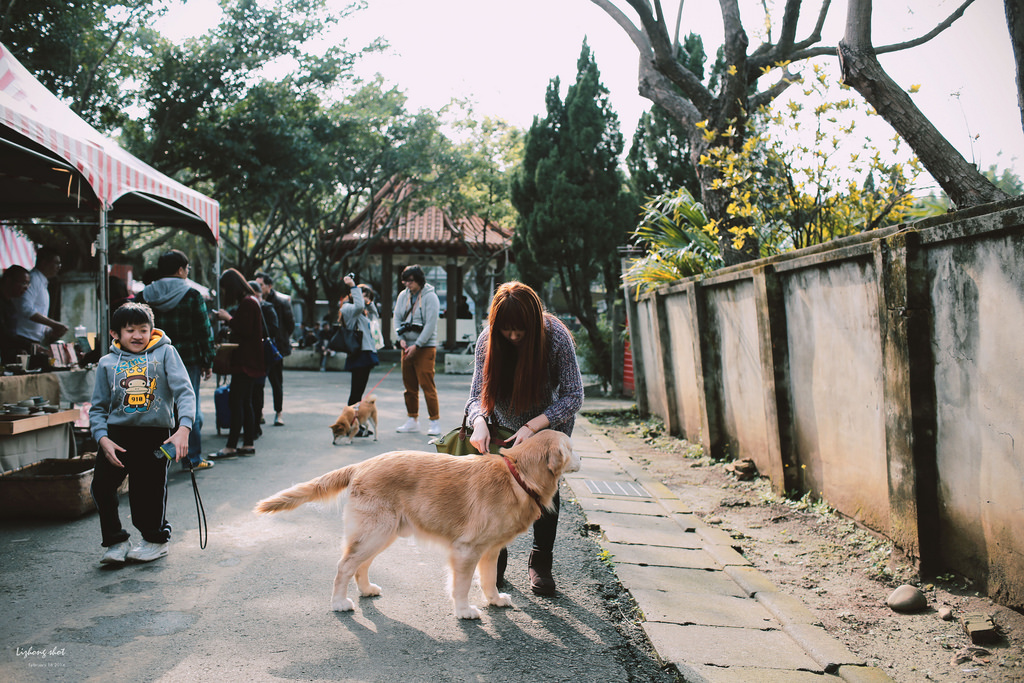 小狗的眷村巡禮（馬祖新村）