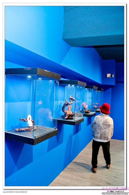 祝大漁物產文創館：【親子遊♥宜蘭】☼ 祝大漁物產文創館 ☼ 360度彩繪魚隧道，拍照很特別♥♥