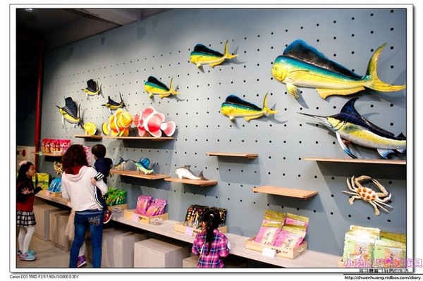 祝大漁物產文創館：【親子遊♥宜蘭】☼ 祝大漁物產文創館 ☼ 360度彩繪魚隧道，拍照很特別♥♥
