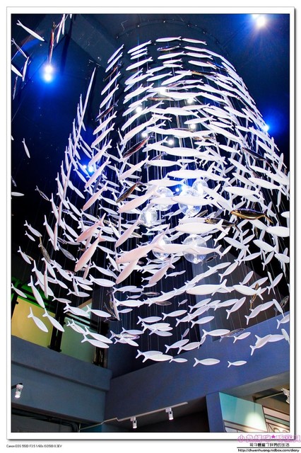 祝大漁物產文創館：【親子遊♥宜蘭】☼ 祝大漁物產文創館 ☼ 360度彩繪魚隧道，拍照很特別♥♥