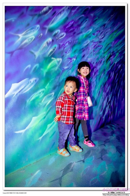 祝大漁物產文創館：【親子遊♥宜蘭】☼ 祝大漁物產文創館 ☼ 360度彩繪魚隧道，拍照很特別♥♥