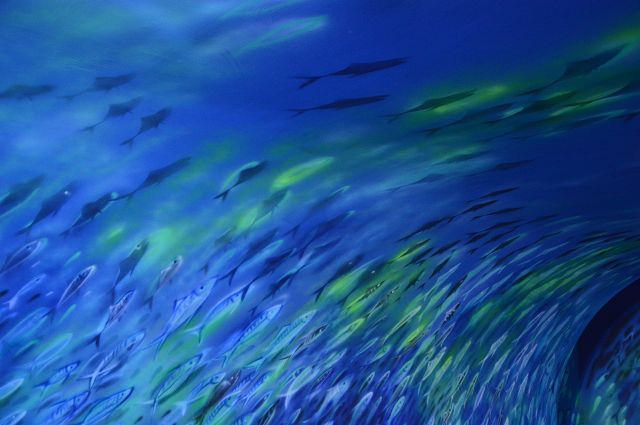 祝大漁物產館45