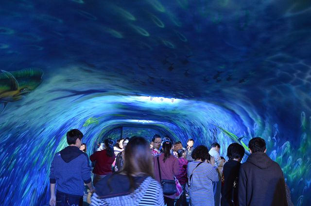 祝大漁物產館05