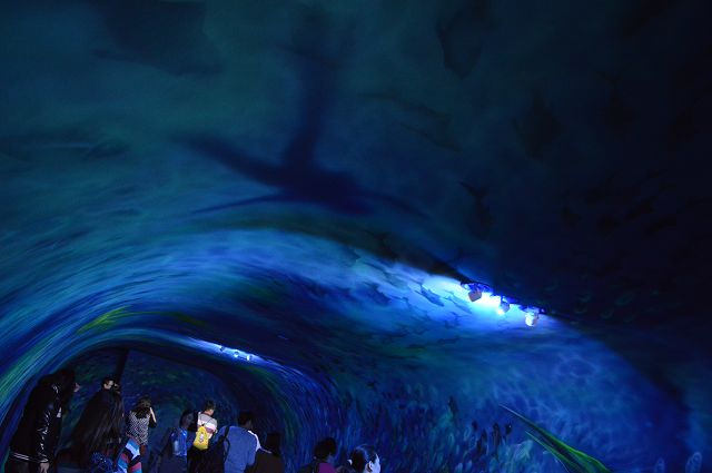 祝大漁物產館49