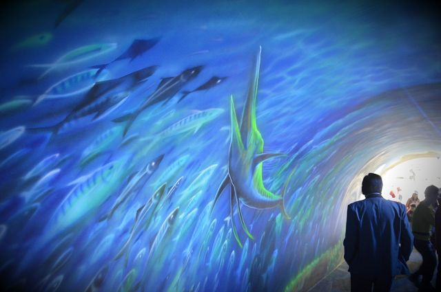 祝大漁物產館13