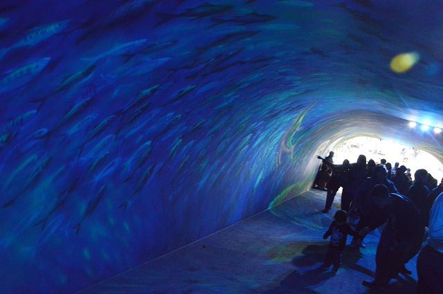 祝大漁物產館06