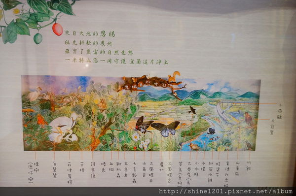 【宜蘭蘇澳景點】一米特創藝美食館 / 祝大魚物產文創館,宜蘭親子景點.雨天行程