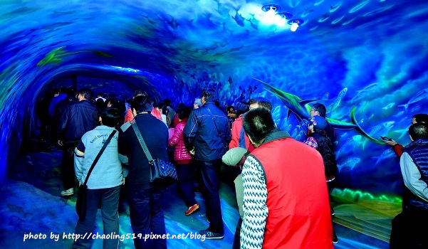 祝魚大3D彩繪-12.JPG - 2016遊古蹟.展館