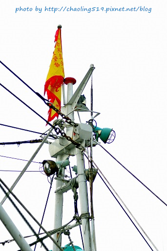 祝魚大3D彩繪-3.JPG - 2016遊古蹟.展館