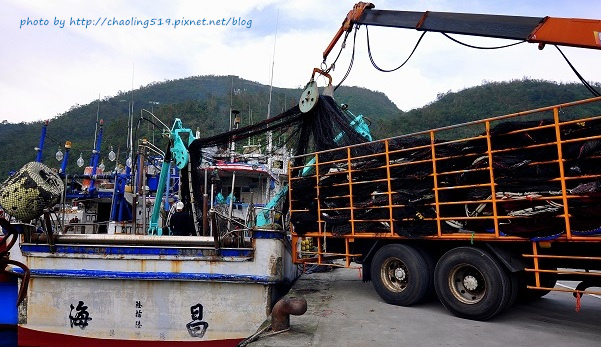 祝魚大3D彩繪-7.JPG - 2016遊古蹟.展館