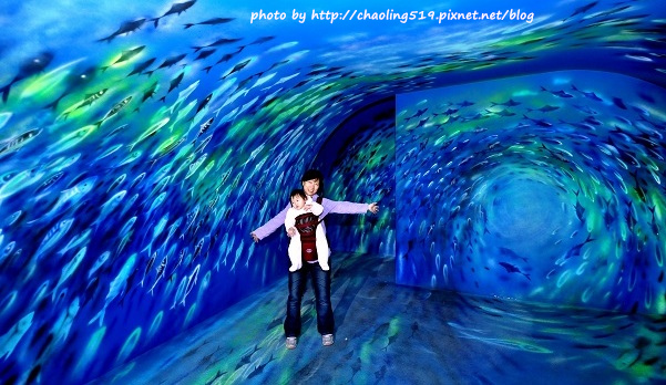 祝魚大3D彩繪-33.JPG - 2016遊古蹟.展館