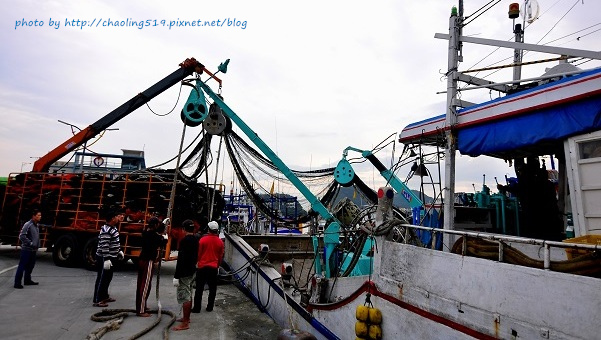 祝魚大3D彩繪-6.JPG - 2016遊古蹟.展館