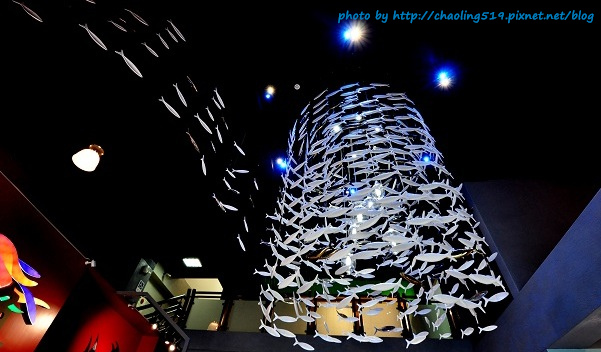 祝魚大3D彩繪-15.JPG - 2016遊古蹟.展館