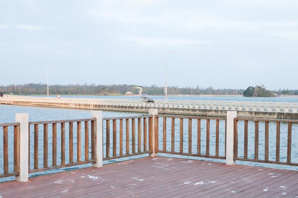 昇恆昌金湖大飯店 - 20