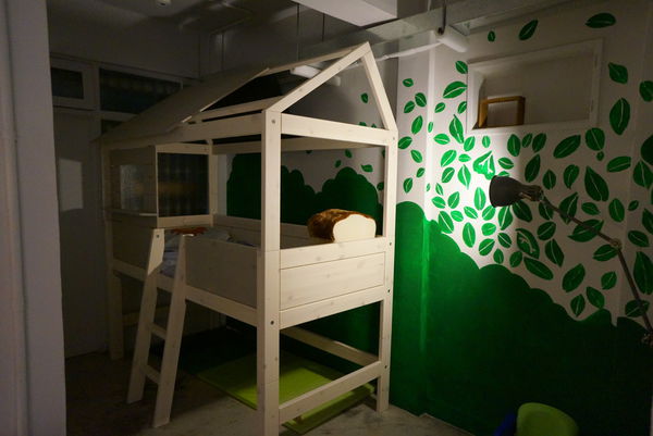 ChéRi BiBi：什麼!曖昧的第三個月原來是起司蛋糕的名字-ChéRi BiBi