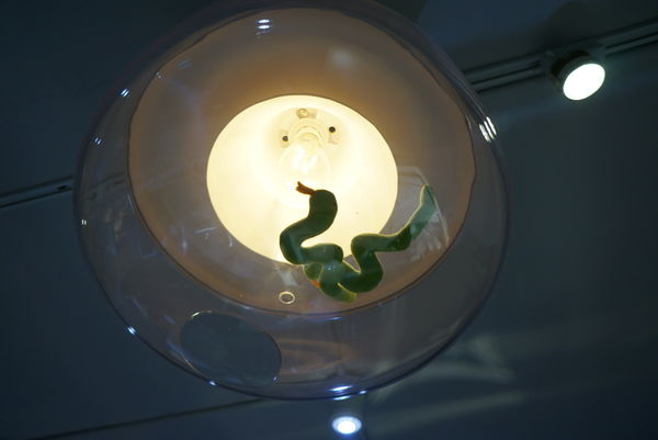 ChéRi BiBi：什麼!曖昧的第三個月原來是起司蛋糕的名字-ChéRi BiBi