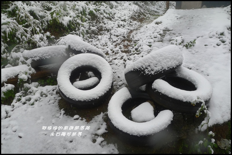 尖石梅花部落39.JPG
