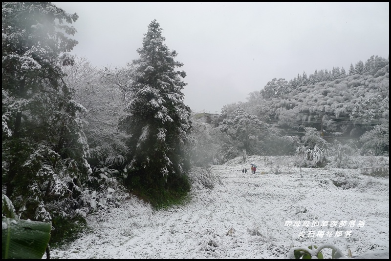 尖石梅花部落49.JPG