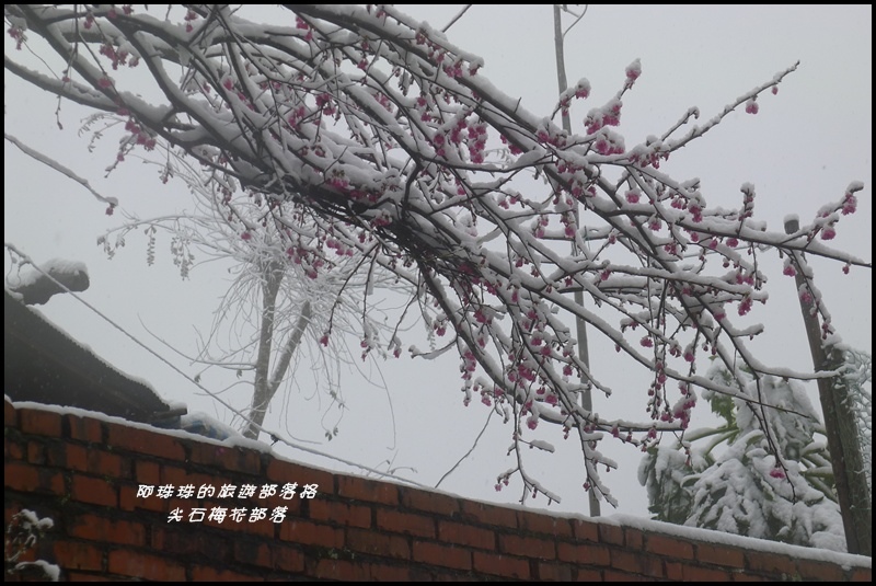 尖石梅花部落40.JPG