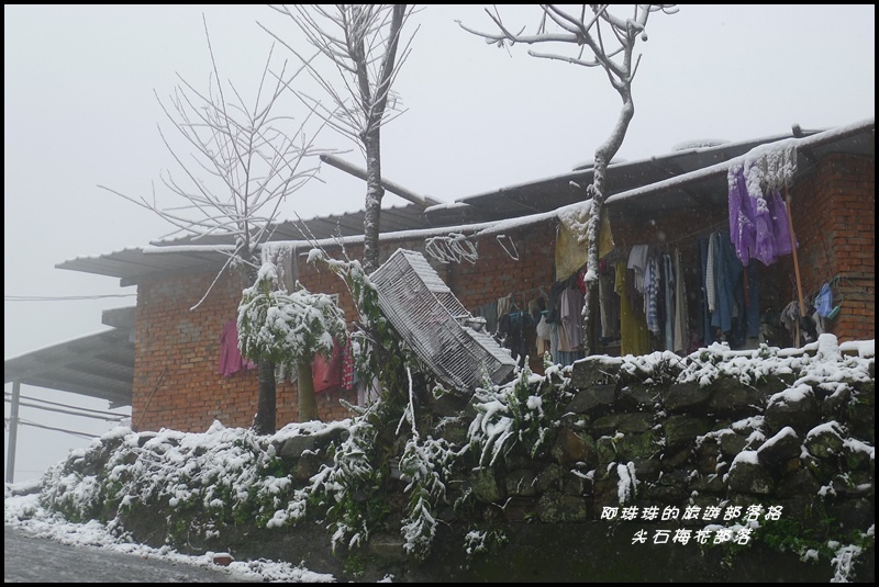 尖石梅花部落45.JPG