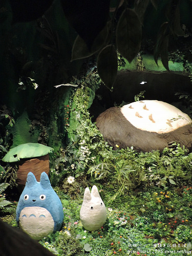 DSCN2490 (1500x2000)