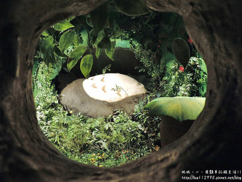 DSCN2486 (2000x1500)