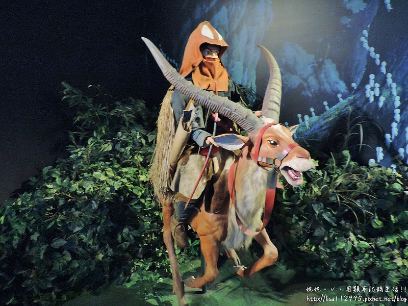 DSCN2509 (2000x1500)