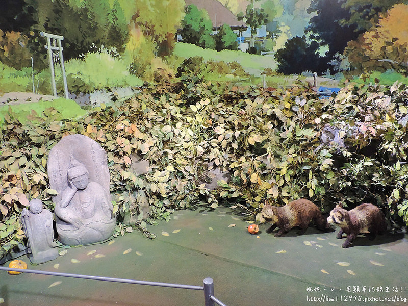 DSCN2497 (2000x1500)