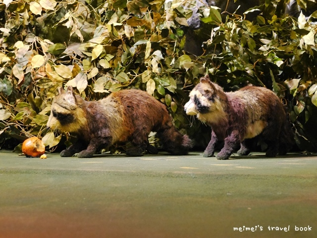 吉卜力的動畫世界特展2016