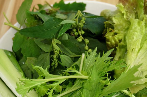 原生園食草氽燙鍋(南京店)：[小巨蛋]原生園食草汆燙鍋：台東原生應用植物園直送 新鮮無毒蔬菜+藥膳湯底 吃到飽!