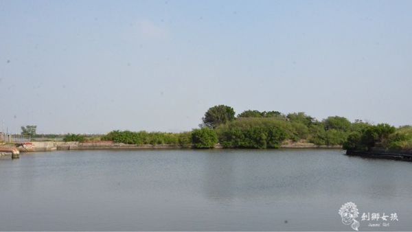 安順鹽場四草生態保護區 33.jpg