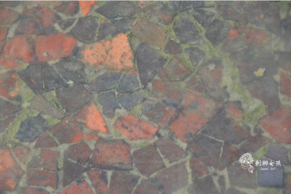 安順鹽場四草生態保護區 48.jpg