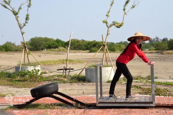 安順鹽場四草生態保護區 17.jpg