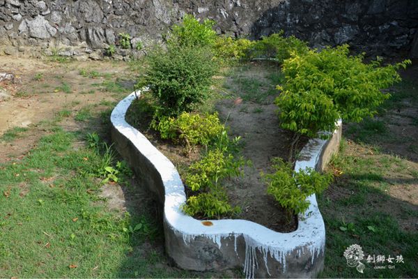 安順鹽場四草生態保護區 30.jpg