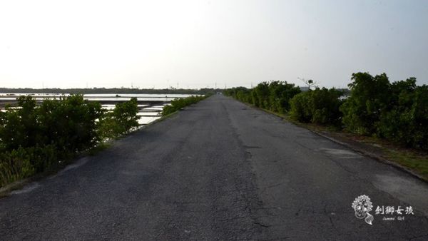 安順鹽場四草生態保護區 68.jpg