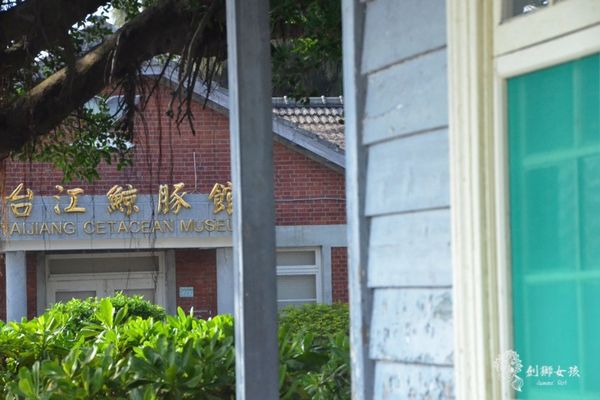 安順鹽場四草生態保護區 31.jpg