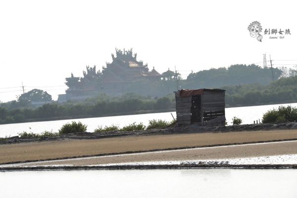 安順鹽場四草生態保護區 60.jpg