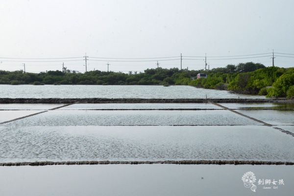 安順鹽場四草生態保護區 59.jpg