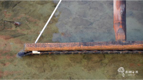 安順鹽場四草生態保護區 63.jpg