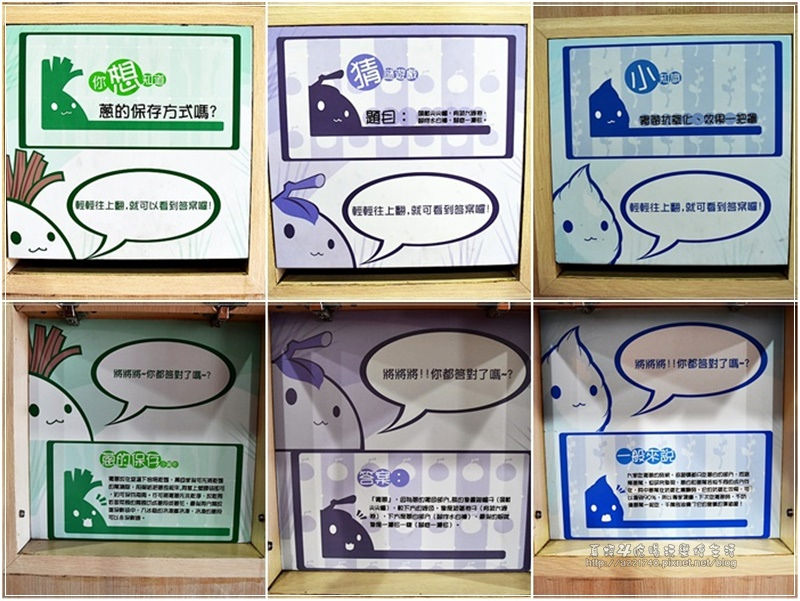 32三星蔥文化館蔥知識