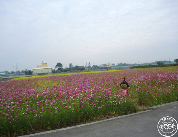 寶大蜜麻花:呷飽祙【彰化田中・寶大食品】彰化必買伴手禮