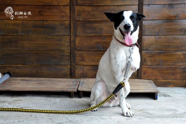 台南西港穀倉餐廳 8.jpg