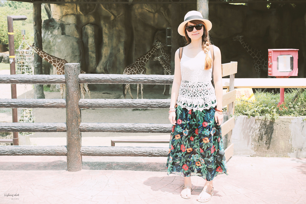 滋潤心靈的木柵動物園小記#3