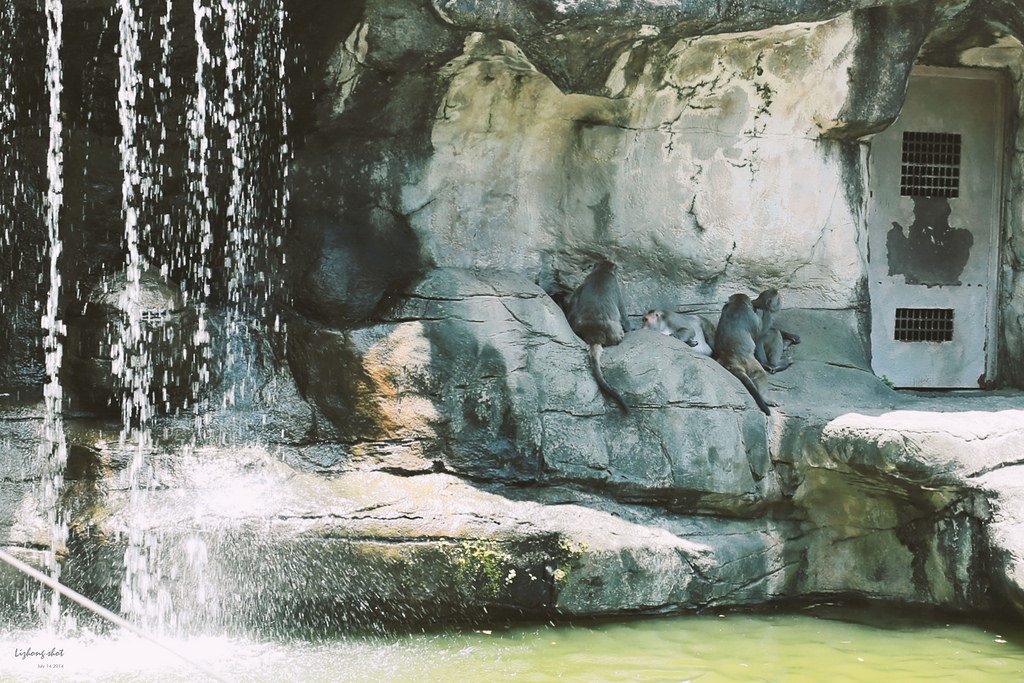 滋潤心靈的木柵動物園小記#3