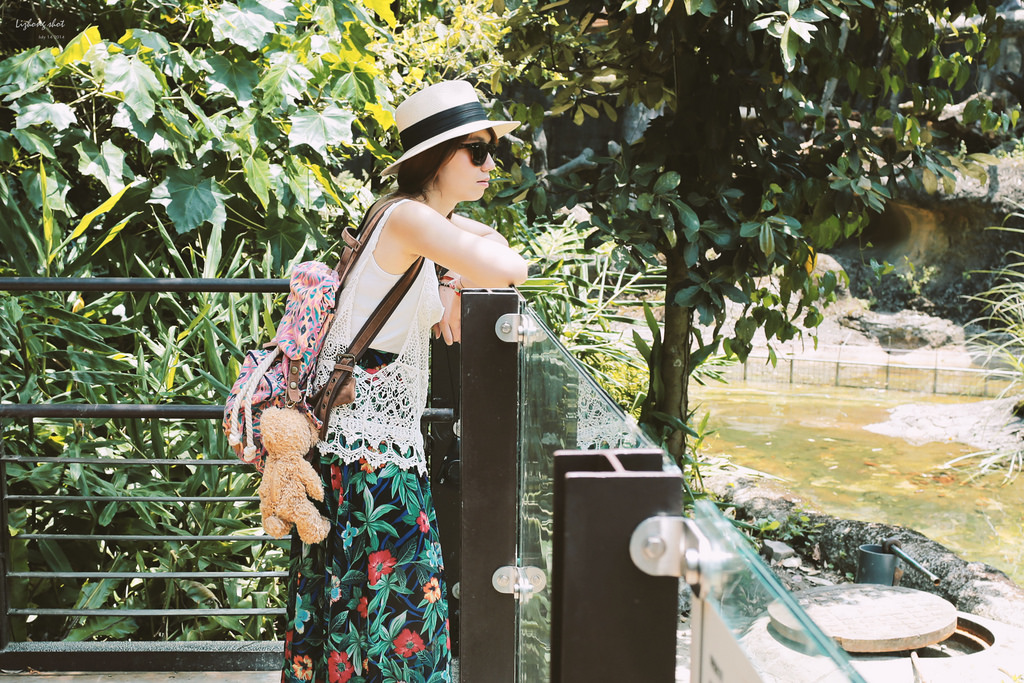 滋潤心靈的木柵動物園小記#3